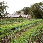 Blue Hill, Stone Barns