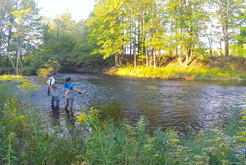 Fly Fishing 101