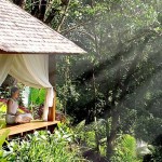 Bali Bali
