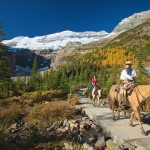 horeback riding adventures in Banff horeback riding adventures in Banff