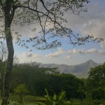El Valle El Valle