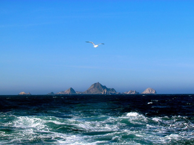 #1 Top Photography Spot: The Farallon Islands