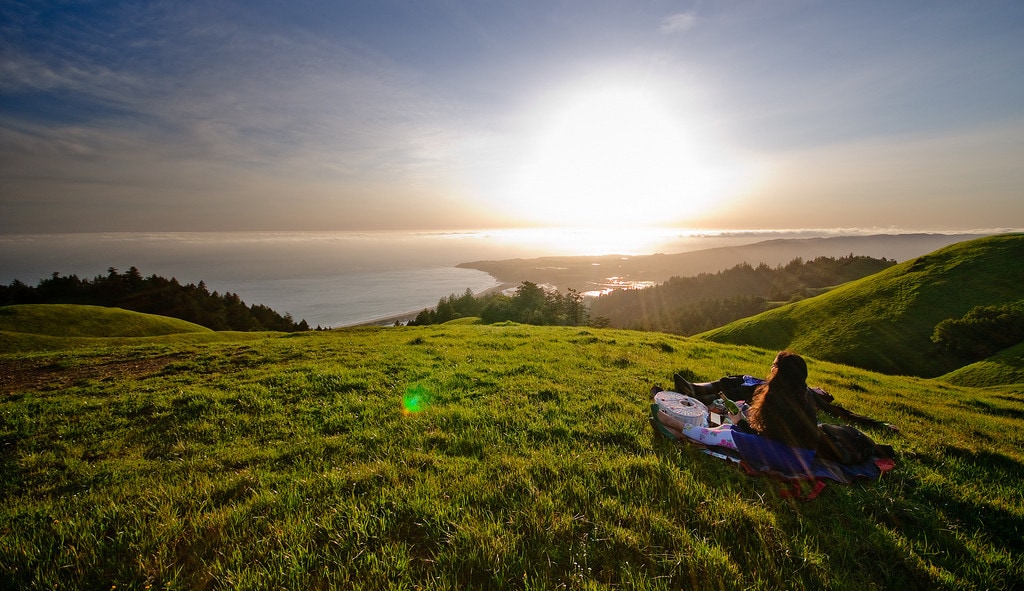 Mt. Tam Picnic