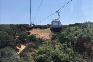 Oakland Zoo Gondola Ride