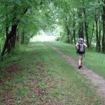 Hike (or Bike) Like a Local in Westchester: The Historic Croton Aqueduct Trail 2163515464 89905fb8fe o e1494346041871