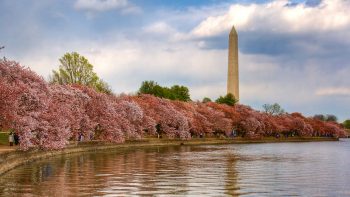 Washington DC waterfront