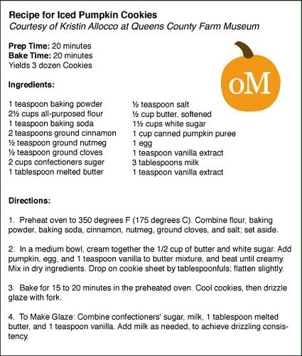 pumpkin cookie recipe