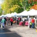 From the Staff: Summer Finds and Autumnal Adventures images 11