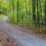In Van Cortlandt Park, Walking the Trails Less Traveled Van Cortlandt Park e1474300954876