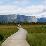 The Best Attractions of Newfoundland and Labrador in Canada 3666223847 01c5db6944 z e1503522267336