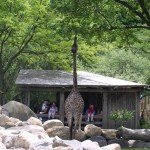 Little Kid, Mid-Sized City Part IV: Kids Activities in Providence 5739946199 15c87618ac z