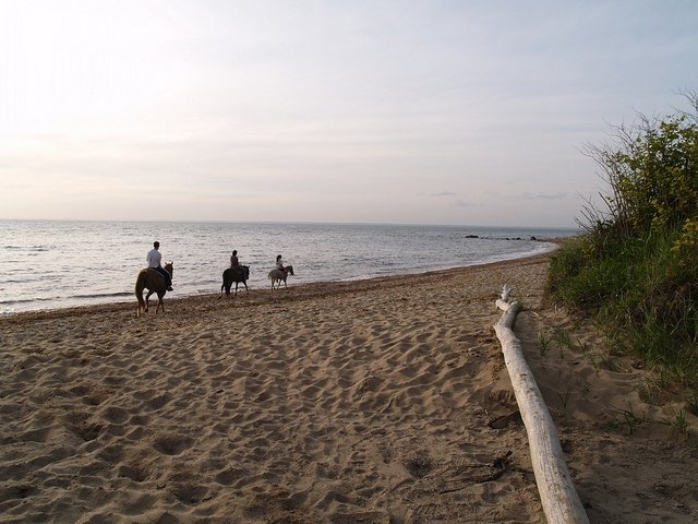 Rustic Rides Block Island 5