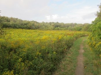 Clay Head Trail