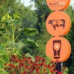 What a Growing Locavore Movement Looks Like: Things to Do in the Berkshires farmtotable