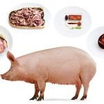 The Food Experiments National Tour Hits Close to Home 197677 10150100585011680 265551101679 6742436 8293775 n