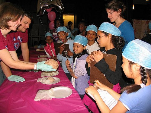 Philly Science Fest