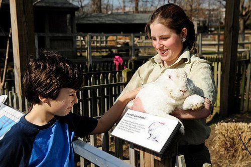 Queens Zoo Programs