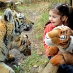 Six Spring Activities For Kids Near NYC 5547259900 265c9c2da6