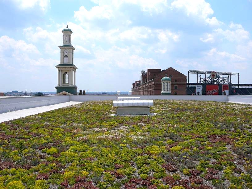 8 Green and PetFriendly Hotels near NYC