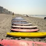 offManhattan’s 11 Favorite offBeat Stories of 2010 5687579102 ea6aa0fdd7