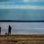 Off the Leash: Five Dog-Friendly Beaches Near NYC 443840014 8babe01d91