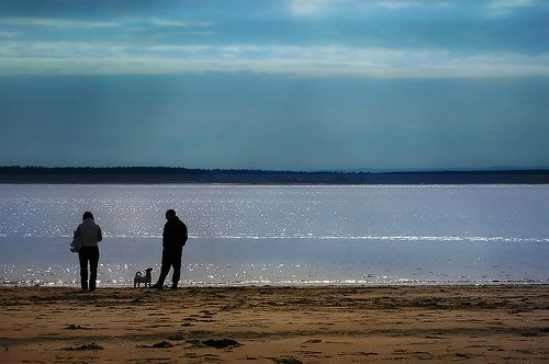 dog walking beaches near me