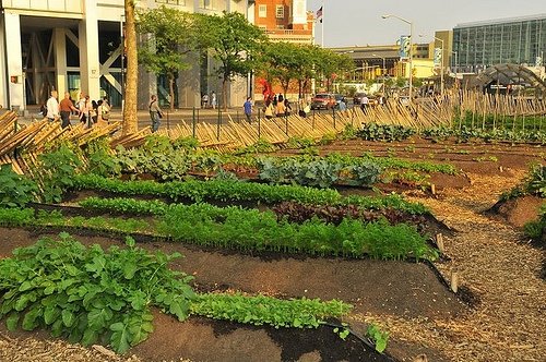 Urban Farm at Battery