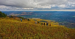 Berkshires