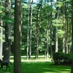 Things to Do in Saratoga Springs DSC09190 e1334937102163