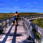 The 10 Best Hiking Trails on Long Island 9487340452 fd2456fcb7 k e1470543955209