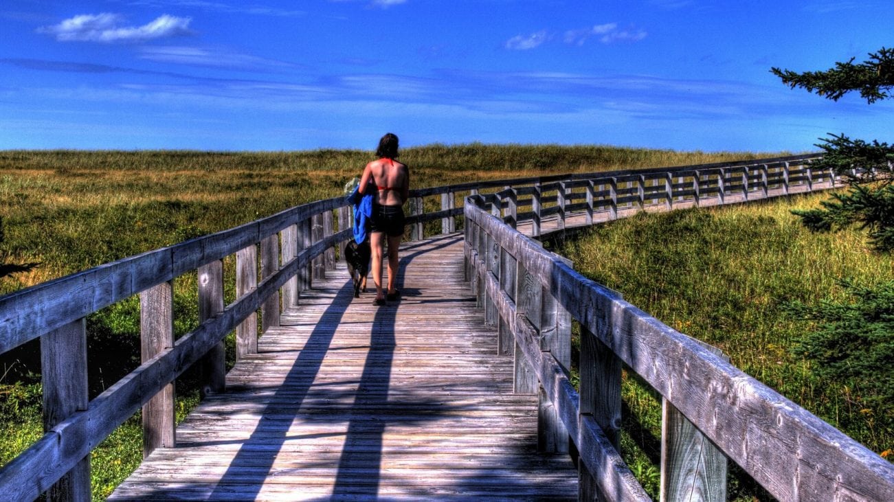 10 Best Hiking Trails On Long Island