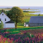 The Best Prince Edward Island Activities 7580915498 edc559b907 z e1503522187341