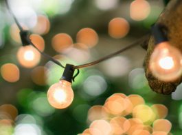 Romantic Adventures: The Best Brooklyn Date Ideas for Locavores