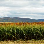 Things to Do in Washington County, NY 8062860707 1419137469 o e1474316027200