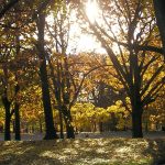 Day Trip: Hudson Valley on a Budget 2451301792 1838ea9635 o 1 e1474818070632