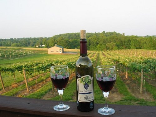 chaddsford winery