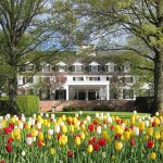 4616370520 ce0fc7e61e z e1487719146141