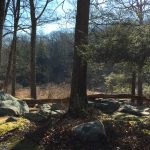 Wilderness in Our Backyard: Hiking Harriman State Park Forest Harriman e1474310504386