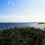 Things To Do in Jamaica Bay, NY: A Coastal Lagoon and Wetland Ecosystem in Queens 9511932290 6a1c3aacab b