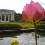 Seven Spring Family Getaways From NYC 13110601263 fed89b12e7 b e1465326592451