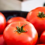 Gourmet Getaways: Where to Eat in Boston Now Fresh Tomatoes