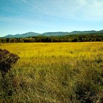 Win a Summer Getaway to the Catskills 9951319495 ecf33feb07 b e1400779340965