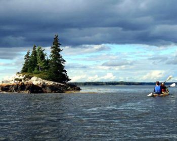 kayaking bar harbor