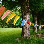 Plan a Fall Trip to Woodstock, New York 14796499328 ce04d4c180 k e1441811474608