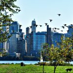 The Best Things to Do in Paulus Hook, New Jersey 5068469329 2204ed1543 b e1470685510967