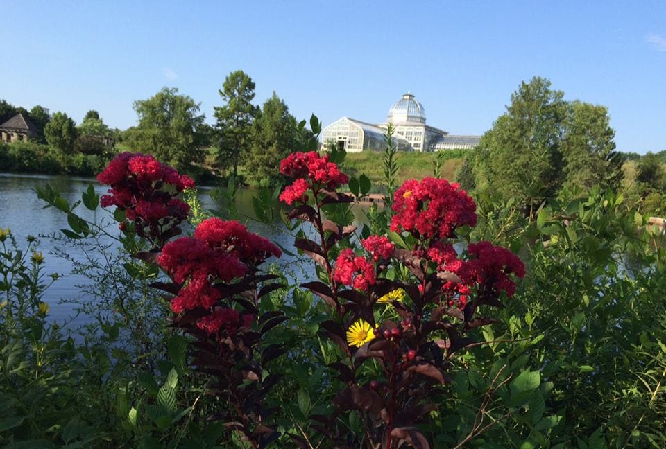 Lewis Ginter Botanical Garden