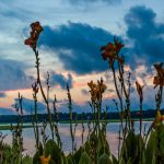 The Best Things to Do in Hilton Head, South Carolina 14927123687 1c3a34b540 o e1475158606608