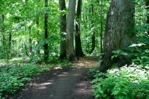 Staten Island Greenbelt