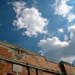 Exploring the Great Outdoors at Floyd Bennett Field IMG 5932 800x510 2