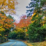 The offMetro Guide to Getting to National Parks Without a Car Acadia David Siebold e1478902905212